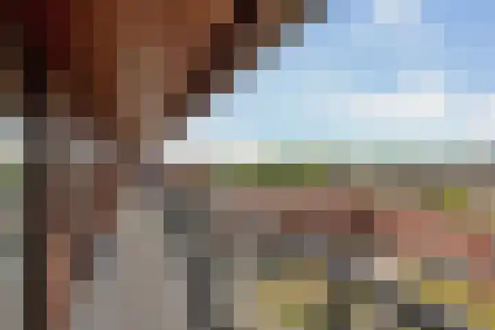 Spangesekade 79 C Rotterdam thumbnail 57