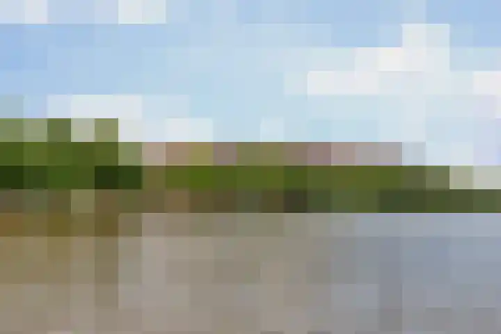 Spangesekade 79 C Rotterdam thumbnail 6
