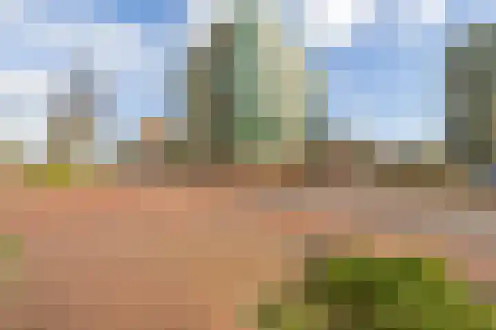 Spangesekade 79 C Rotterdam thumbnail 64