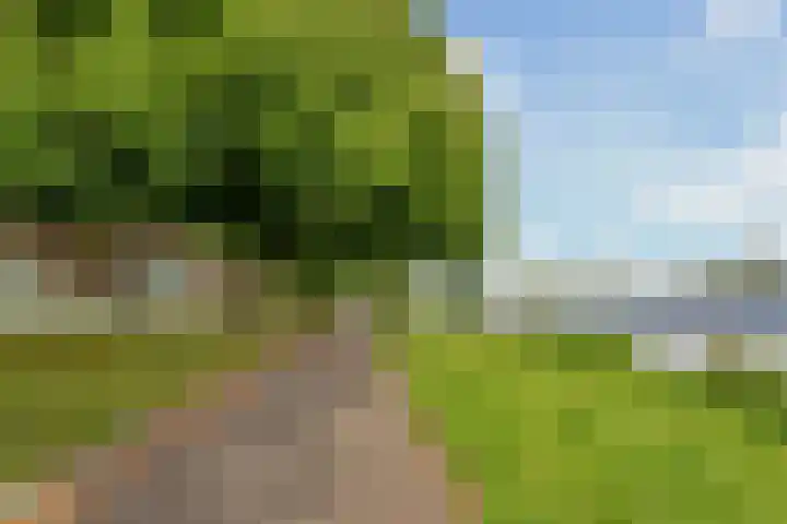Spangesekade 79 C Rotterdam thumbnail 66