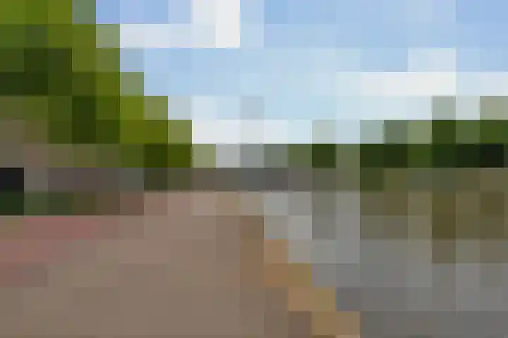 Spangesekade 79 C Rotterdam thumbnail 69