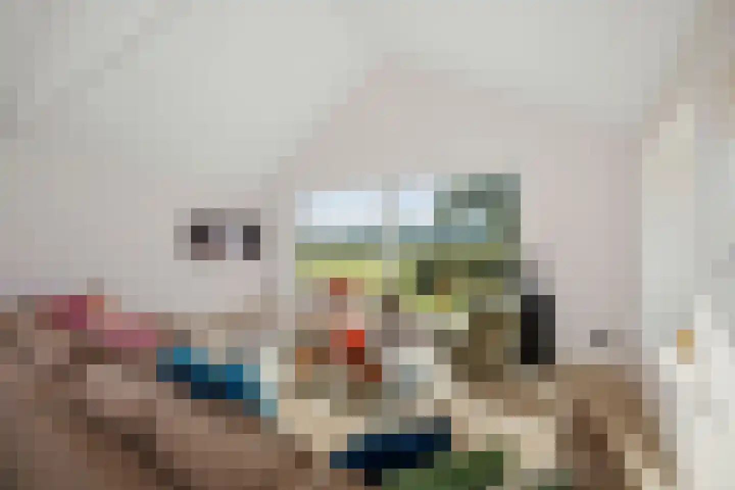 Spanjaardsdijk 50 A Schalkhaar thumbnail 11
