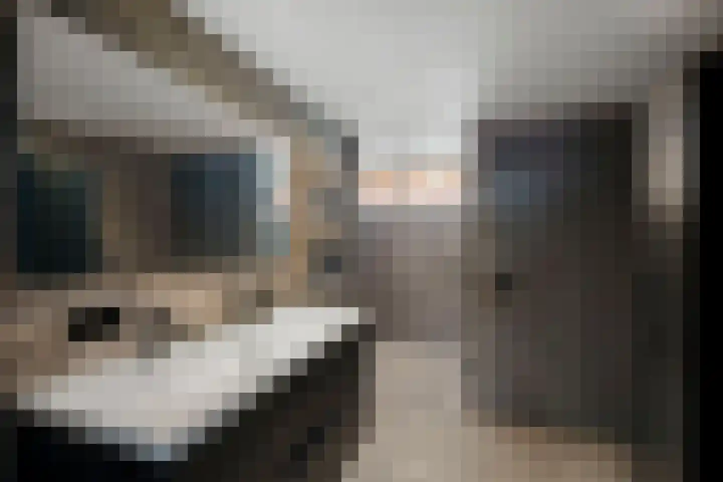 Spanjaardsdijk 50 A Schalkhaar thumbnail 37
