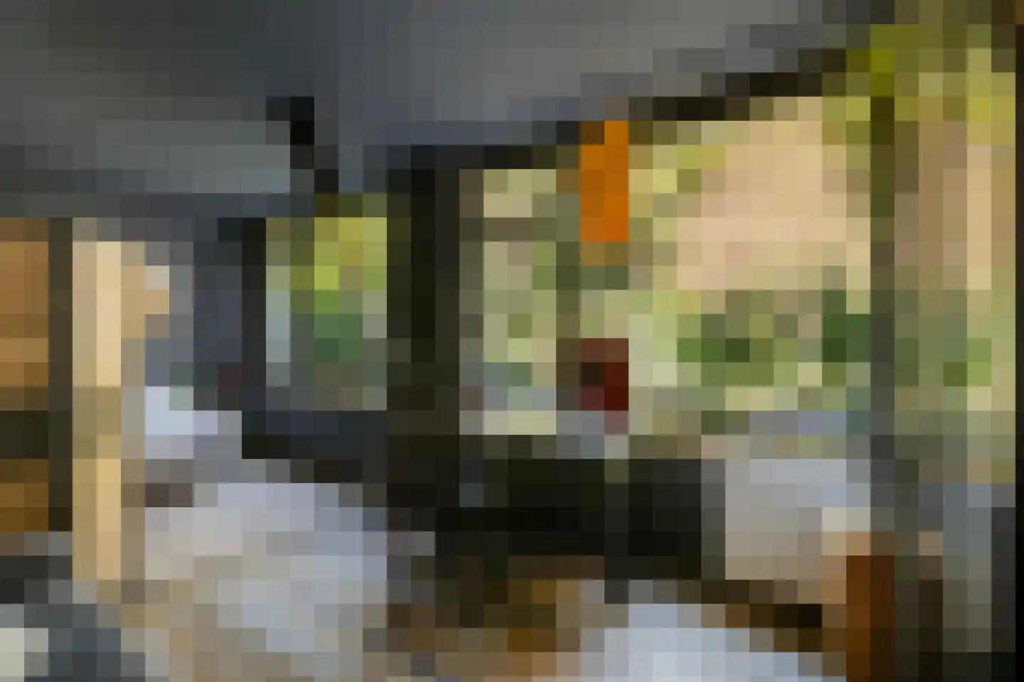 Spanjaardsdijk 50 A Schalkhaar thumbnail 45