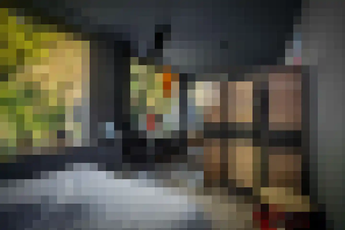 Spanjaardsdijk 50 A Schalkhaar thumbnail 48