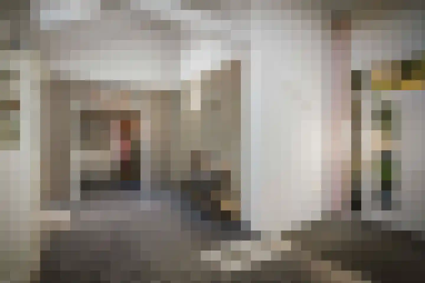 Spanjaardsdijk 50 A Schalkhaar thumbnail 55