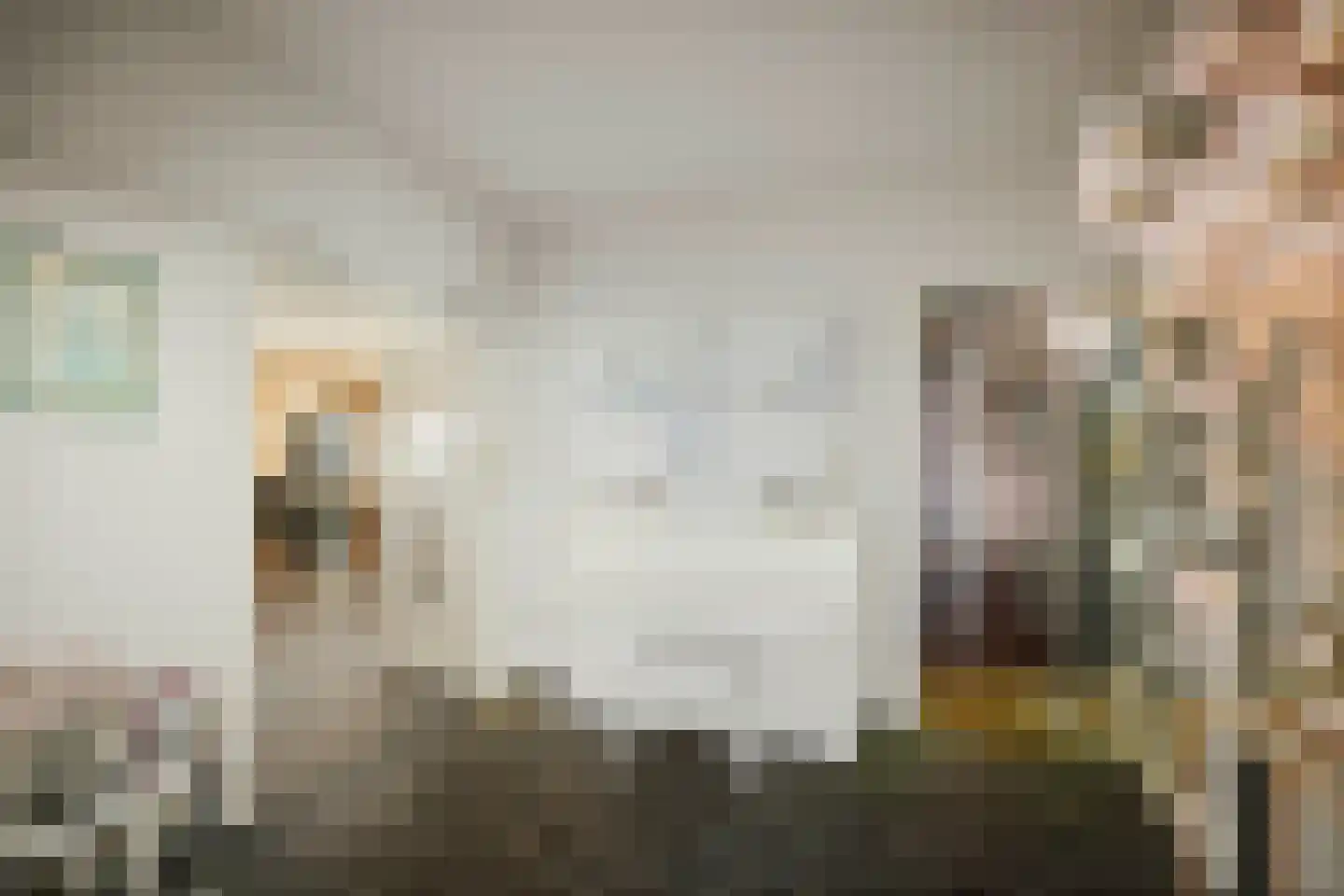 Spanjaardsdijk 50 A Schalkhaar thumbnail 57