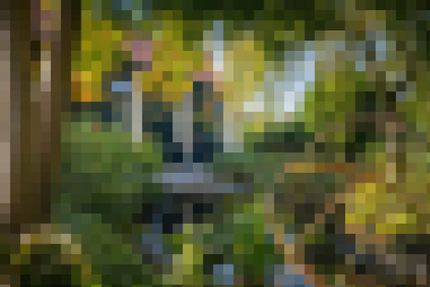 Spanjaardsdijk 50 A Schalkhaar thumbnail 67