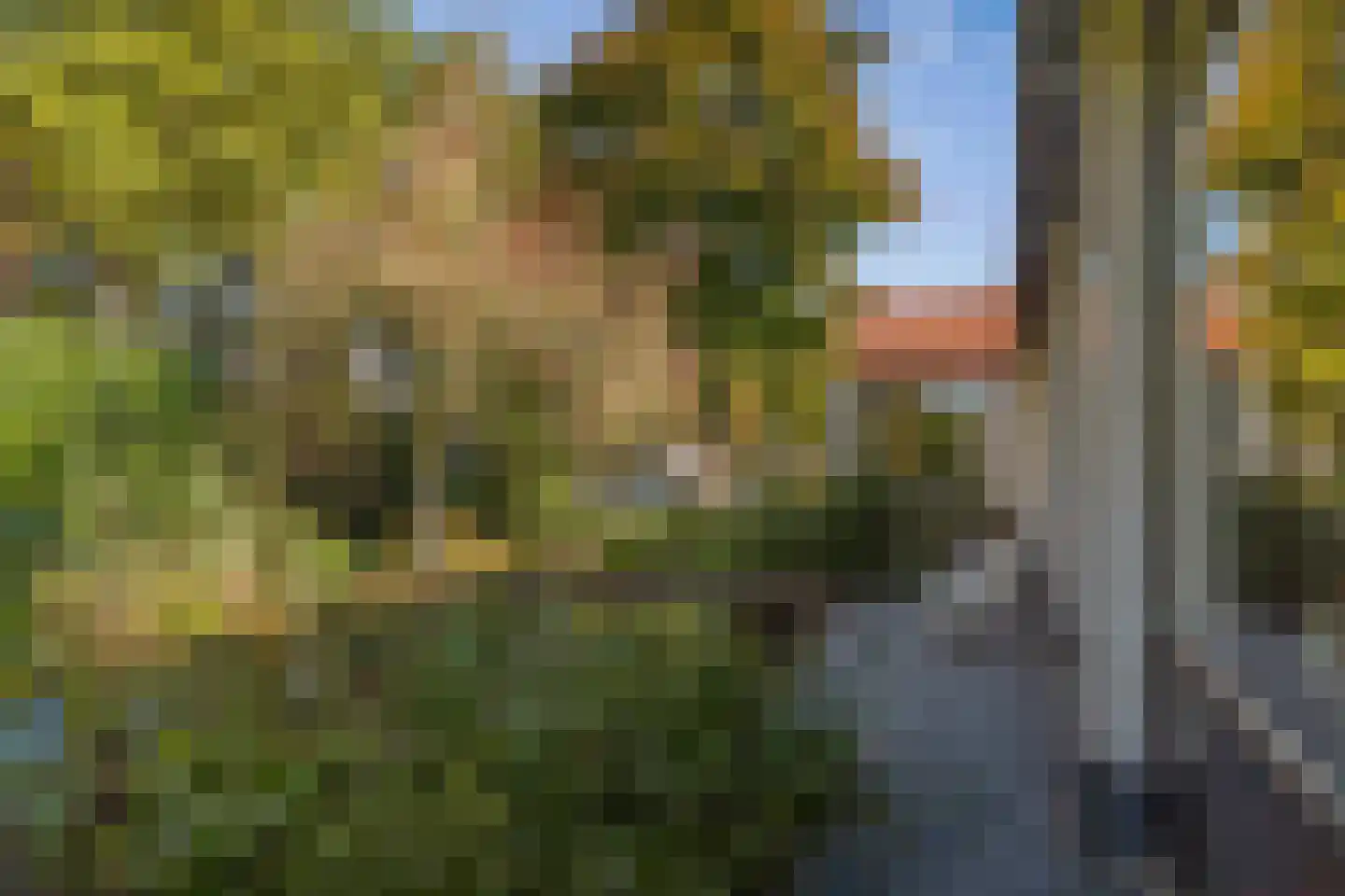Spanjaardsdijk 50 A Schalkhaar thumbnail 71