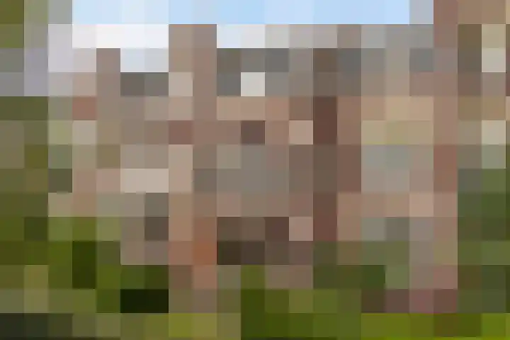 Spanjaardslaan 137 en Leeuwarden