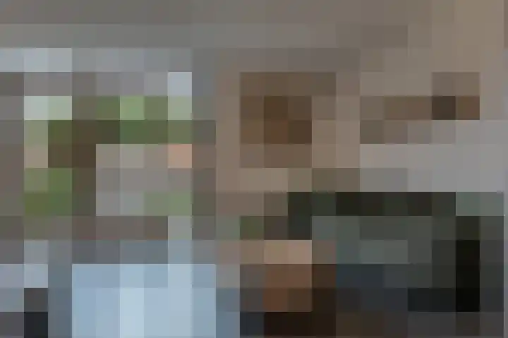 Spanjaardslaan 4 Zuidland thumbnail 12