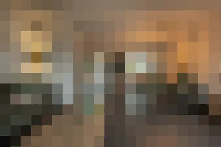 Spanjaardslaan 4 Zuidland thumbnail 16
