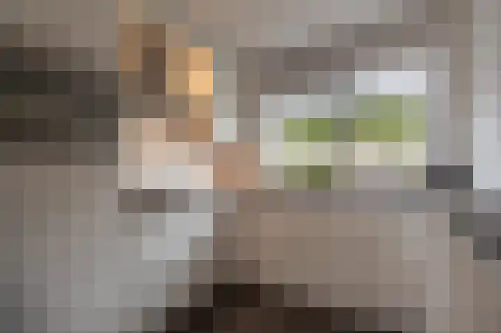 Spanjaardslaan 4 Zuidland thumbnail 17