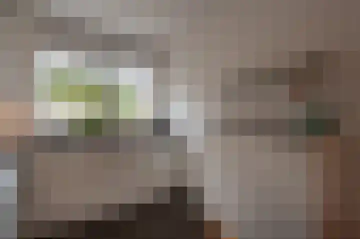 Spanjaardslaan 4 Zuidland thumbnail 18