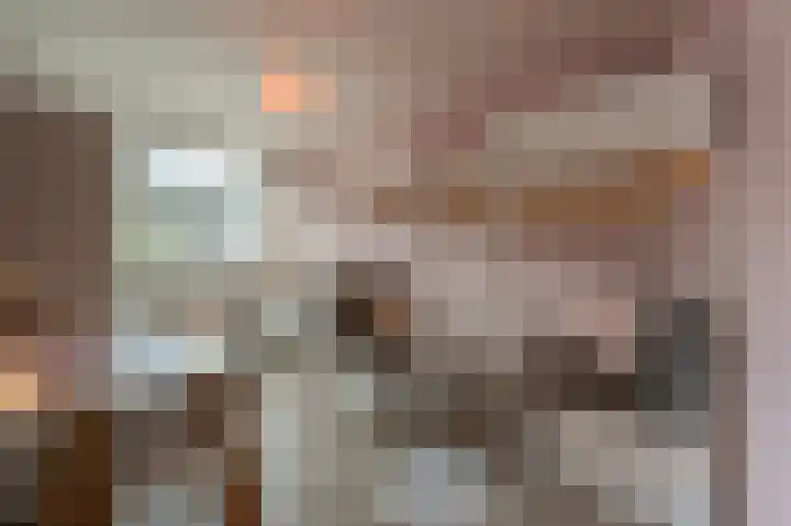 Spanjaardslaan 4 Zuidland thumbnail 24