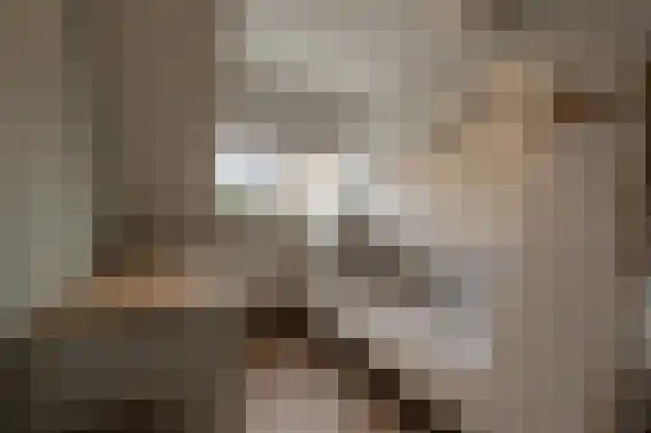 Spanjaardslaan 4 Zuidland thumbnail 26