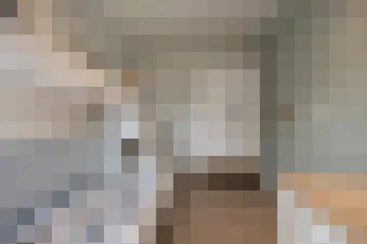 Spanjaardslaan 4 Zuidland thumbnail 27