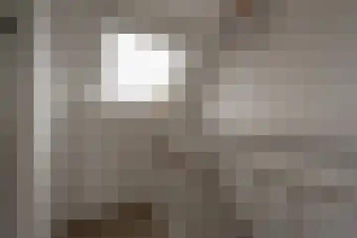 Spanjaardslaan 4 Zuidland thumbnail 30