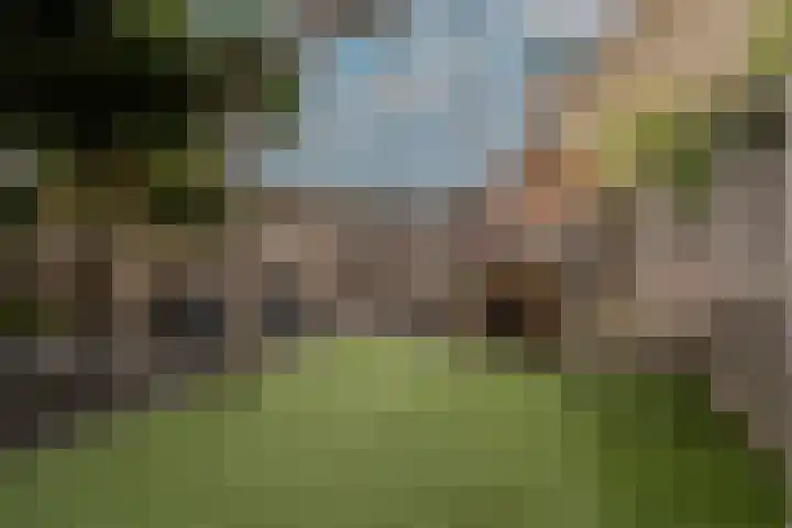Spanjaardslaan 4 Zuidland thumbnail 34