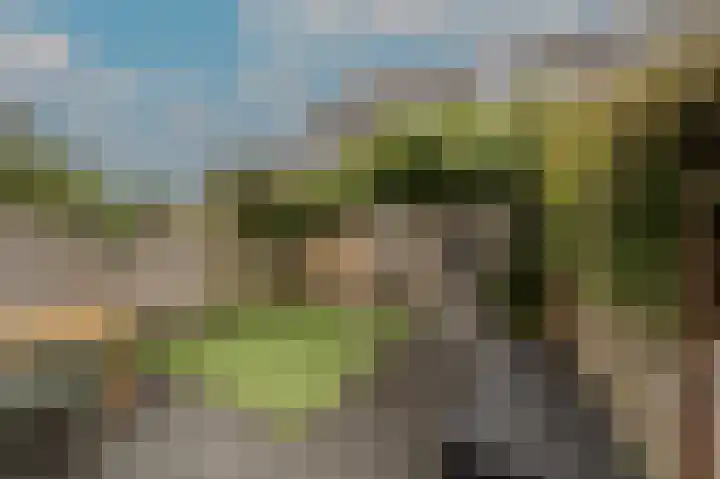 Spanjaardslaan 4 Zuidland thumbnail 35