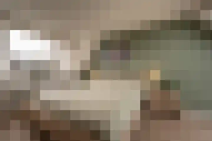 Spanjaardslaan 4 Zuidland thumbnail 5