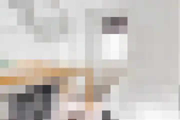 Spanjaardslaan 8 Leiderdorp thumbnail 20