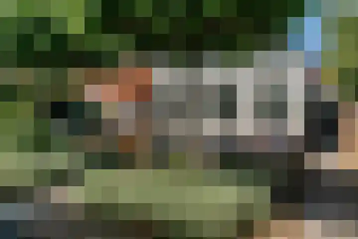 Spanjaardslaan 8 Leiderdorp thumbnail 35