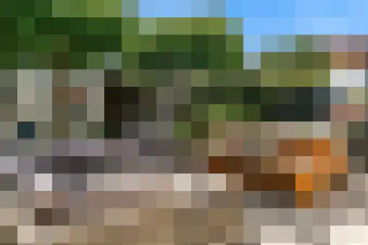 Spanjaardslaan 8 Leiderdorp thumbnail 4