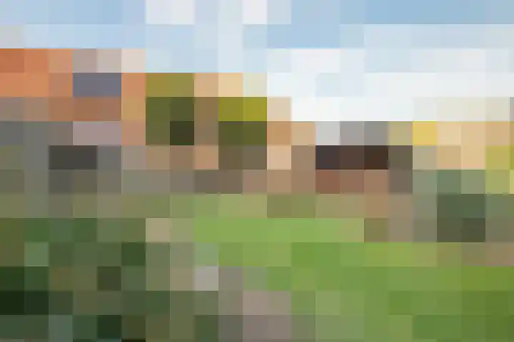 Spanjestraat 3 Montfort thumbnail 30