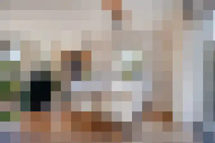 Spankerenseweg 53 Dieren thumbnail 13