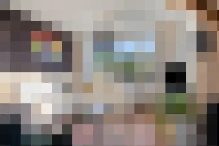 Spankerenseweg 53 Dieren thumbnail 15
