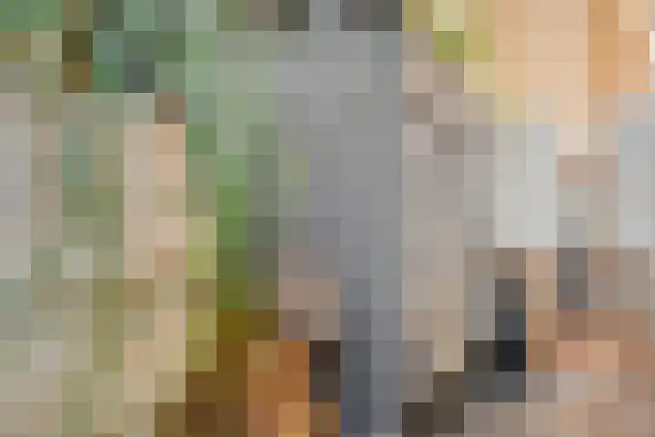 Spankerenseweg 53 Dieren thumbnail 16