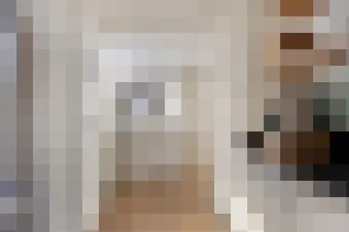 Spankerenseweg 53 Dieren thumbnail 23