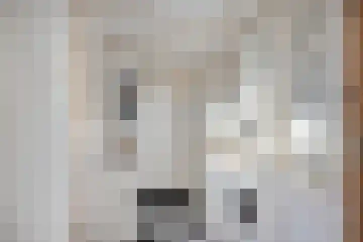 Spankerenseweg 53 Dieren thumbnail 28