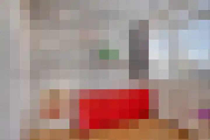 Spankerenseweg 53 Dieren thumbnail 35