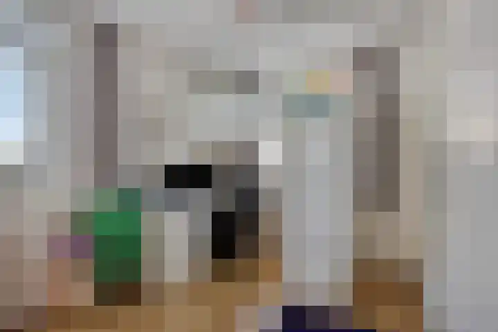 Spankerenseweg 53 Dieren thumbnail 36