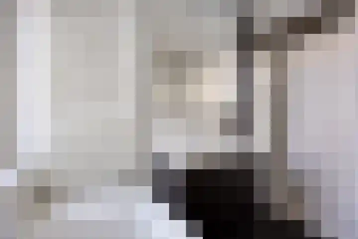 Spankerenseweg 53 Dieren thumbnail 38