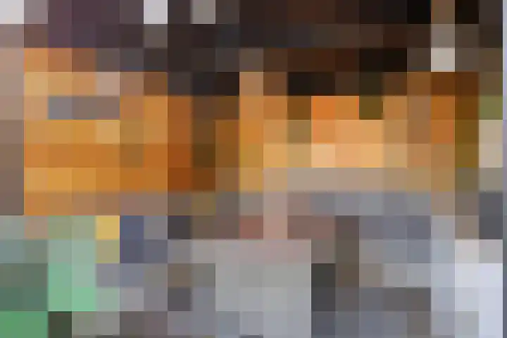 Spankerenseweg 53 Dieren thumbnail 4