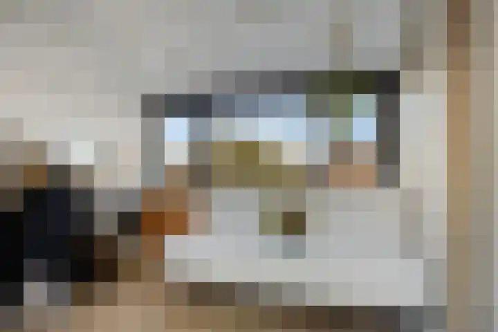 Spankerenseweg 53 Dieren thumbnail 44