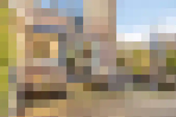 Spankerenseweg 53 Dieren thumbnail 46