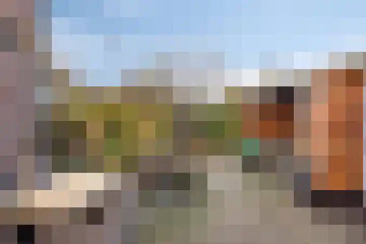 Spankerenseweg 53 Dieren thumbnail 47