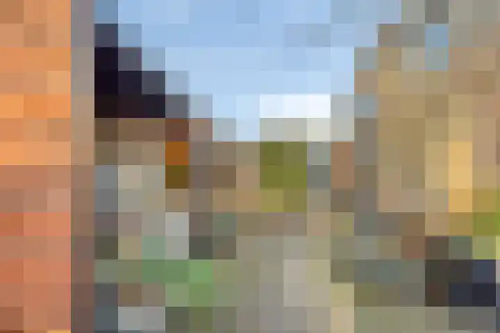 Spankerenseweg 53 Dieren thumbnail 49