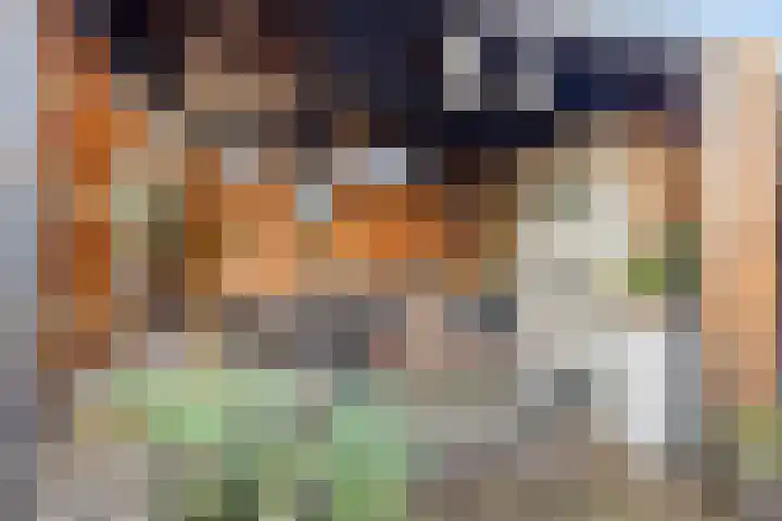 Spankerenseweg 53 Dieren thumbnail 50
