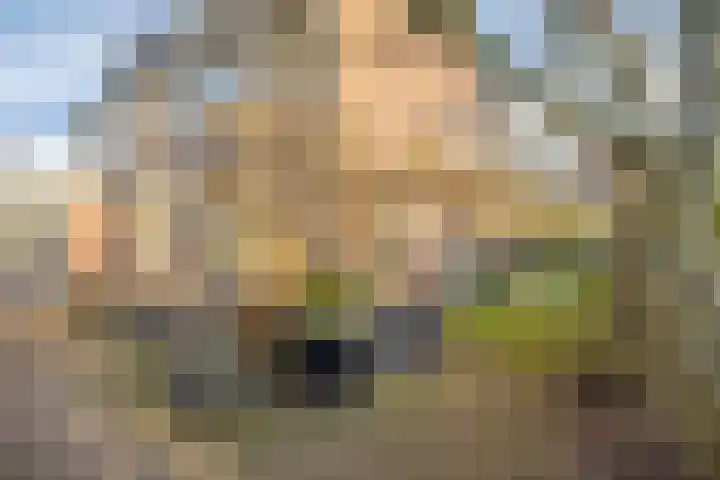 Spankerenseweg 53 Dieren thumbnail 52