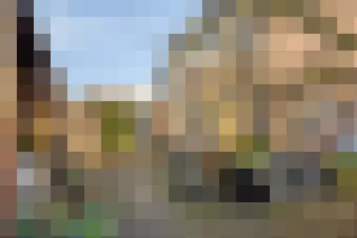 Spankerenseweg 53 Dieren thumbnail 53