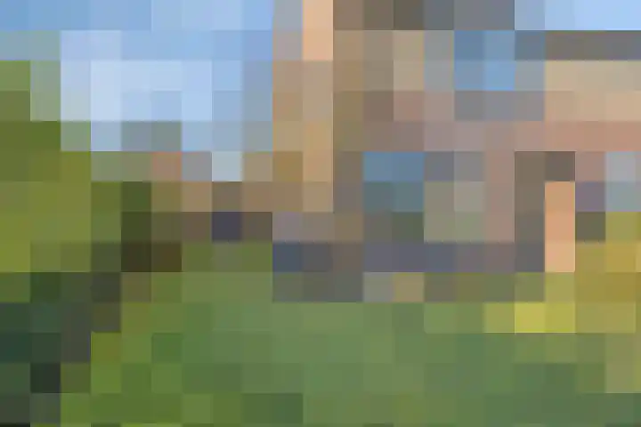 Spankerenseweg 53 Dieren thumbnail 55
