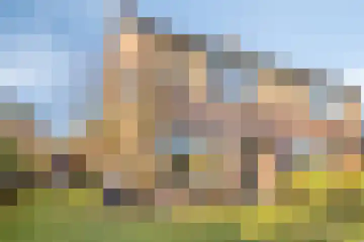 Spankerenseweg 53 Dieren thumbnail 56