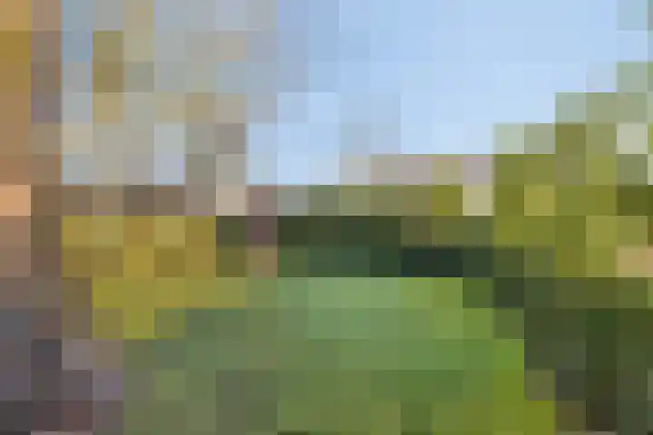 Spankerenseweg 53 Dieren thumbnail 57