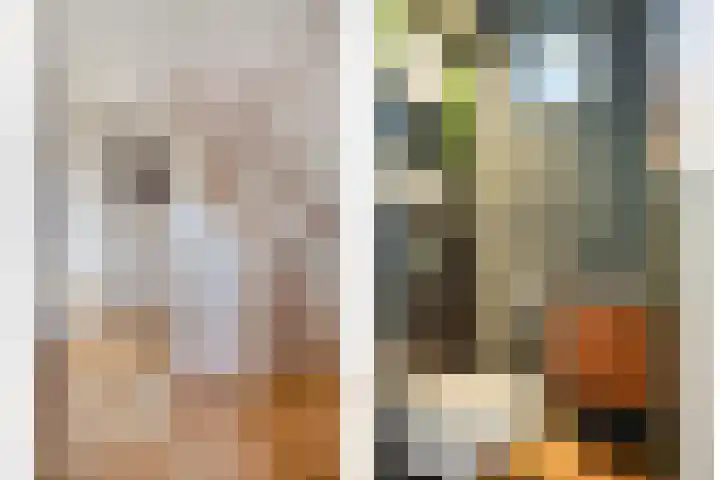 Spankerenseweg 53 Dieren thumbnail 8