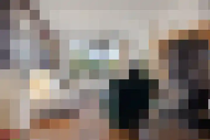 Spankerenseweg 53 Dieren thumbnail 9